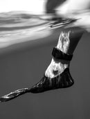 Sharkbanz 2 Shark Deterrent Lifestyle Spearfishing